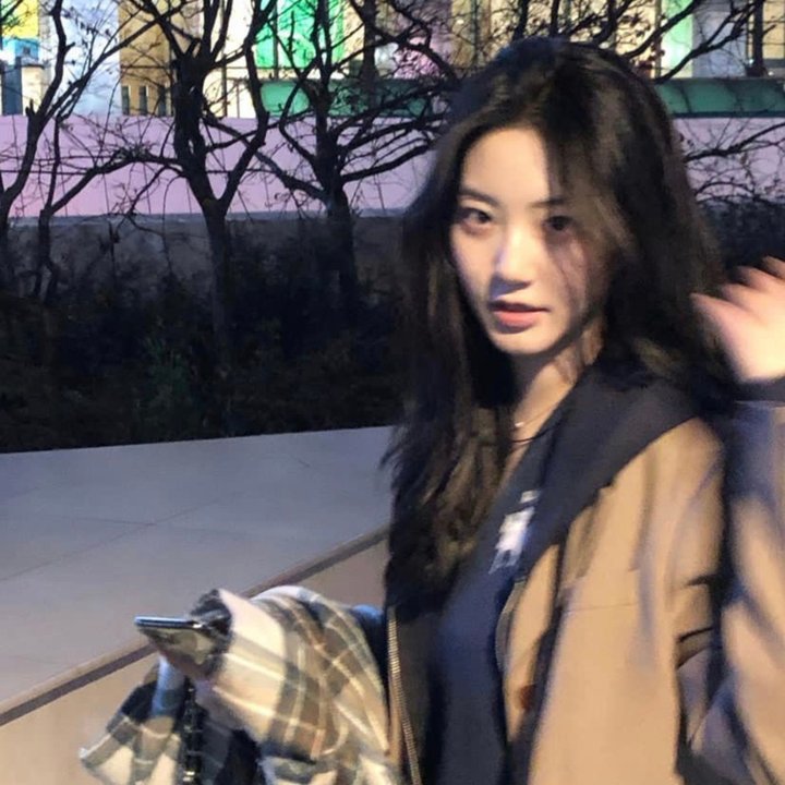 什么鸟日子